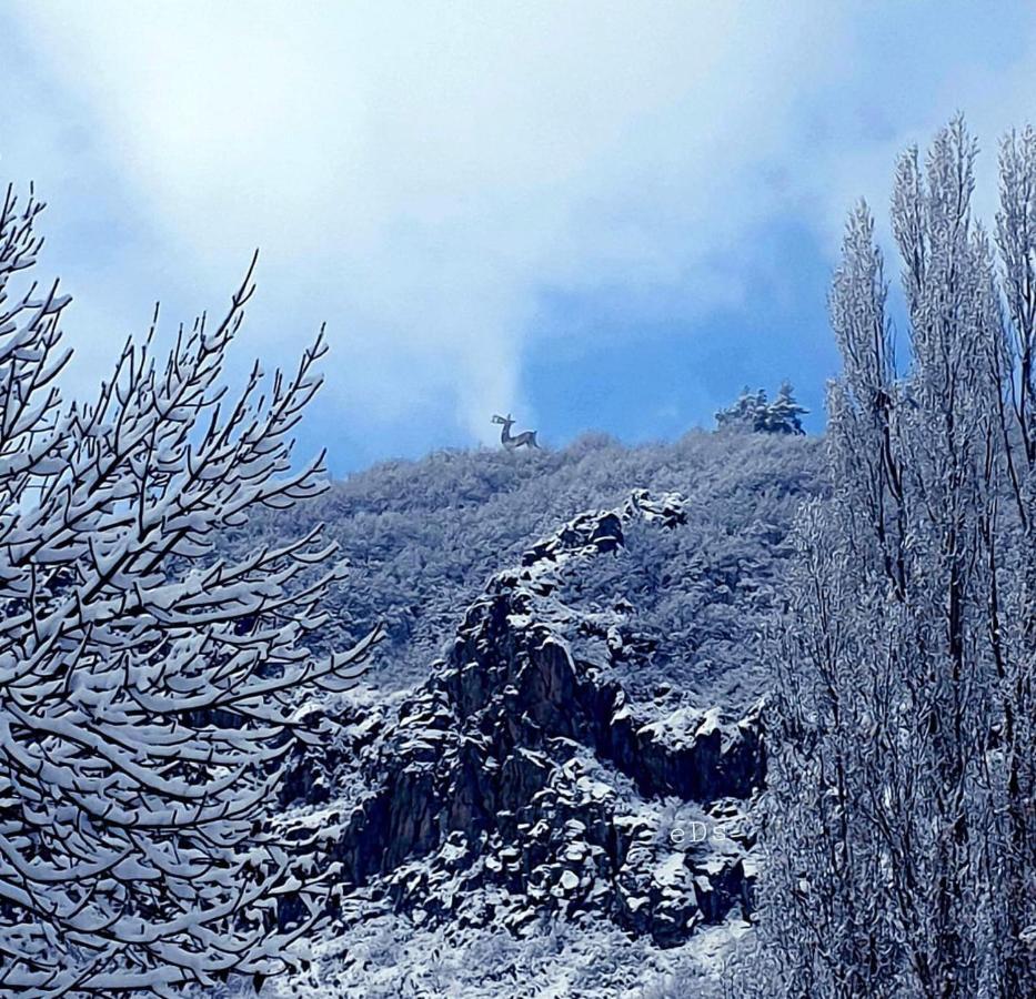 Hasi Hotel Jermuk Extérieur photo